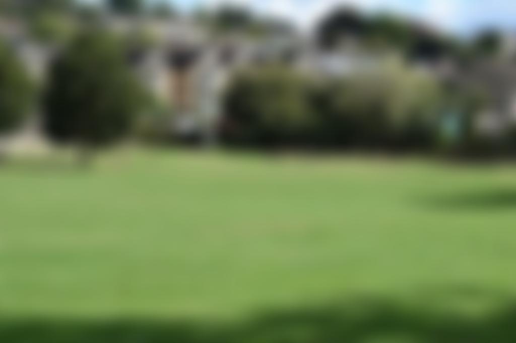 Friends Of Newbridge Park | Charici