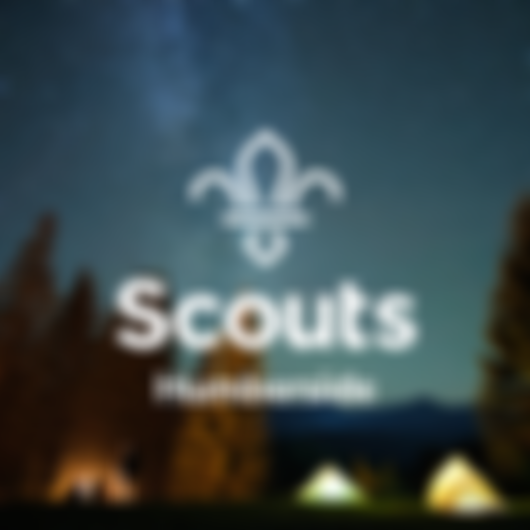 Humberside County Scout Council | Charici