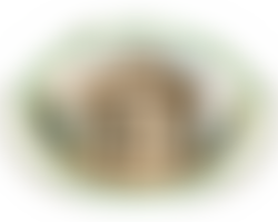 Hereford And Worcester Gardens Trust | Charici