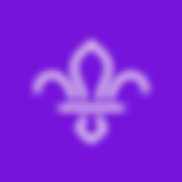 Ist Guisborough (Lord Gisboroughs Own) Scout Group | Charici