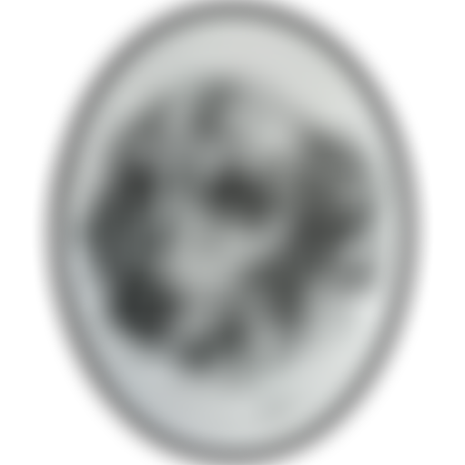 The Sussex Pet Rescue Charitable Trust | Charici