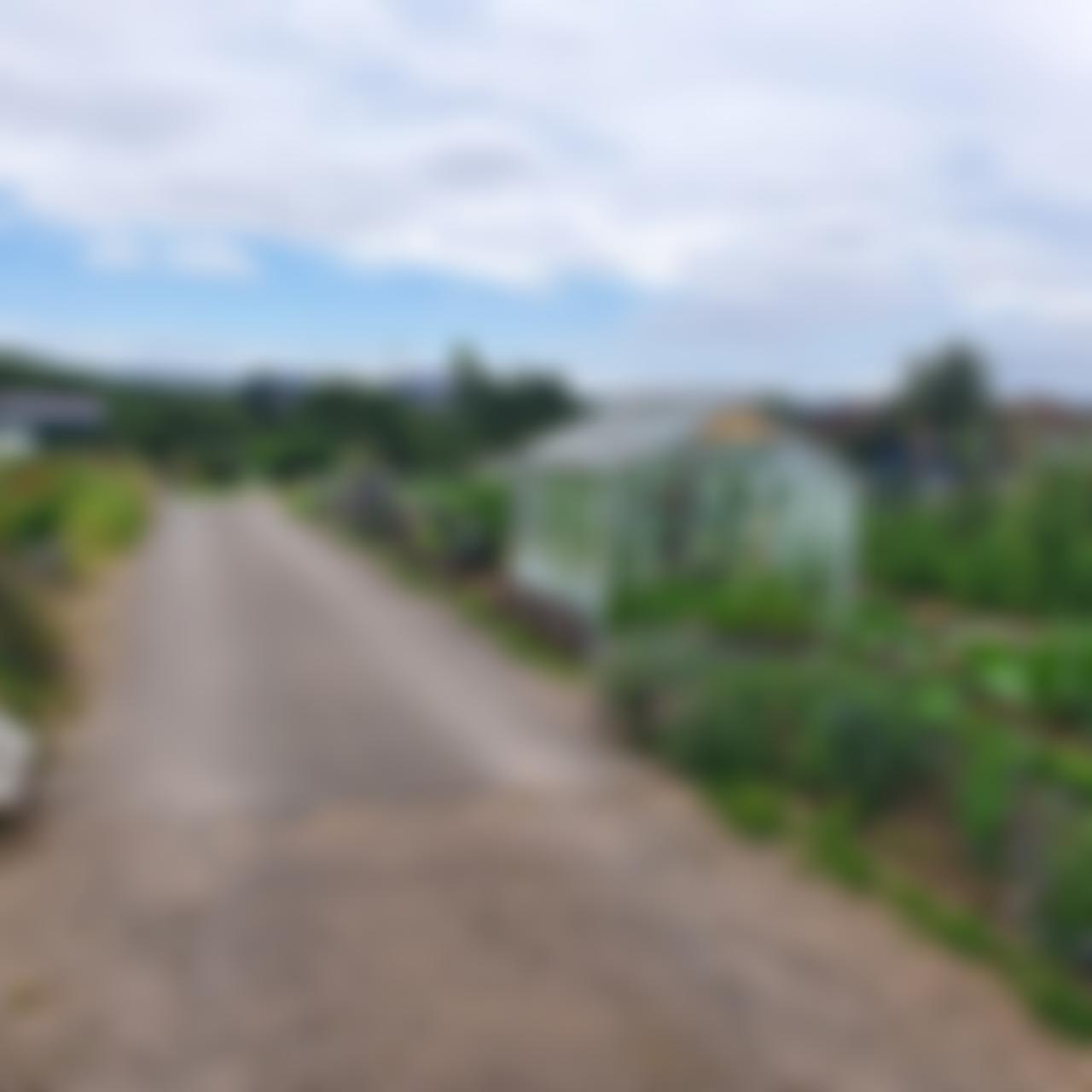 Colchester Avenue Allotments Association | Charici