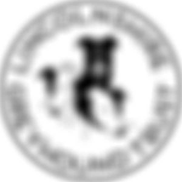 Lincolnshire Greyhound Trust | Charici