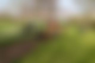 Rotary Club Of Mid Wirral Trust Fund | Charici