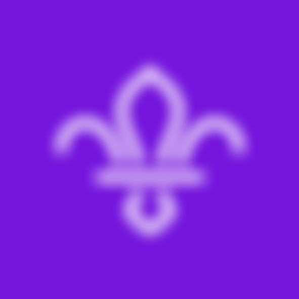 Blyth Valley District Scout Council | Charici