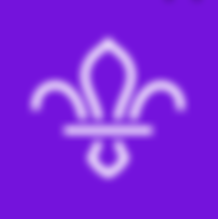 1St Mulbarton Scout Group | Charici