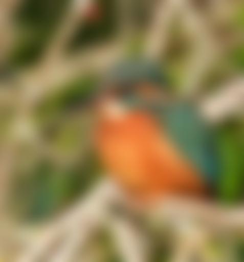 Trust For Oxfordshire's Environment (Toe) Ltd | Charici