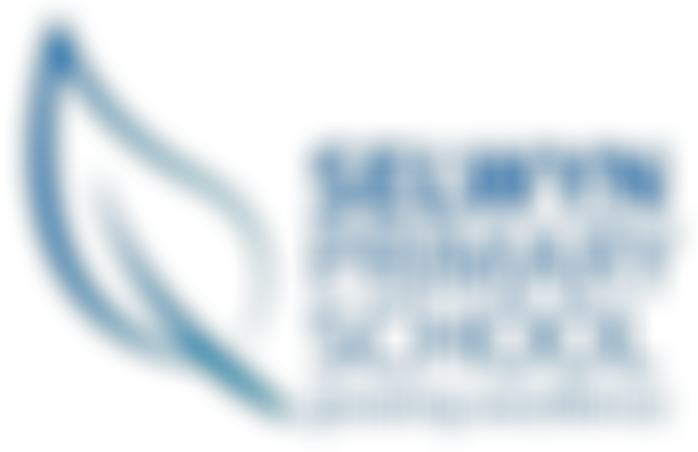 Friends Of Selwyn School | Charici