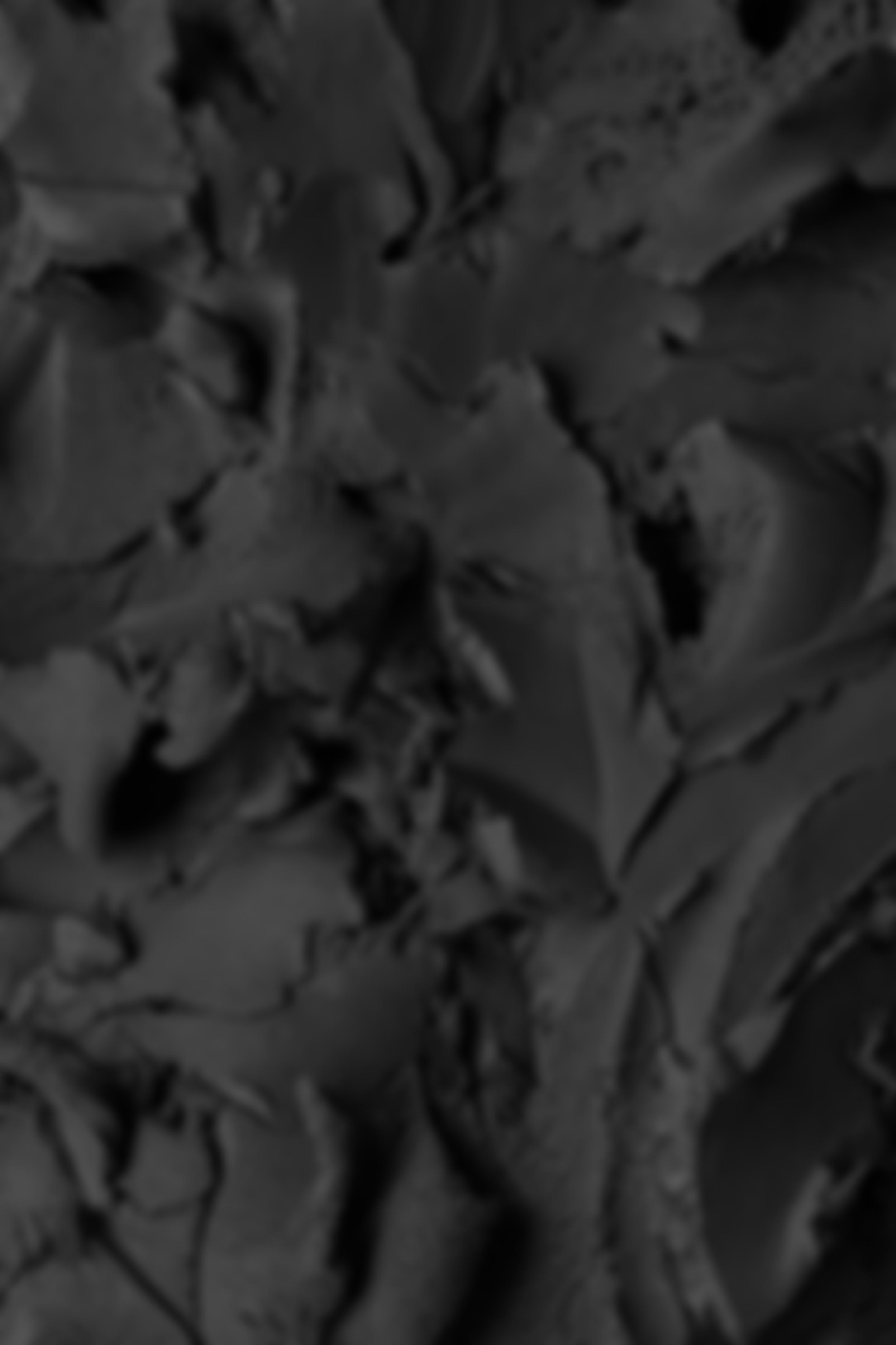 Independent Cinema Milton Keynes (Icmk) Limited | Charici