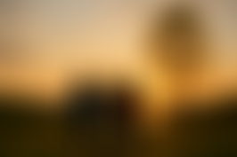 Personal Bridge | Charici