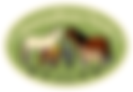 Parklands Riding For The Disabled Association Incorporating Carriage Driving | Charici