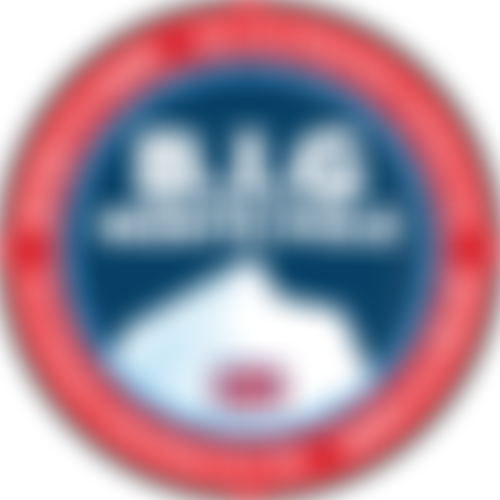 The B.i.g. Foundation | Charici