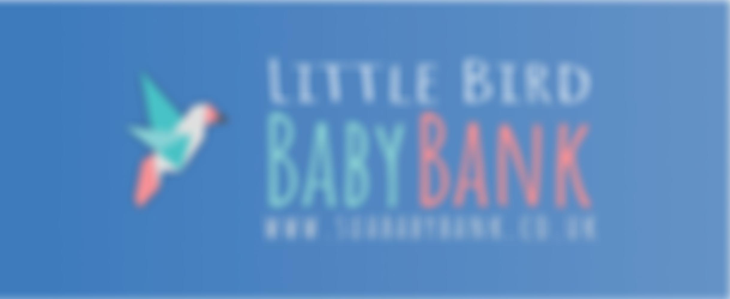 Stratford Upon Avon Little Bird Baby Bank | Charici