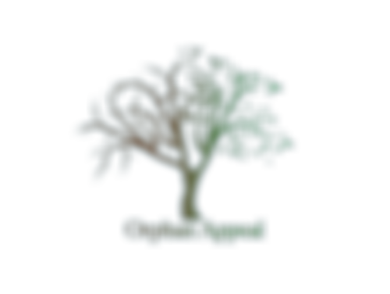 Orphan Appeal | Charici