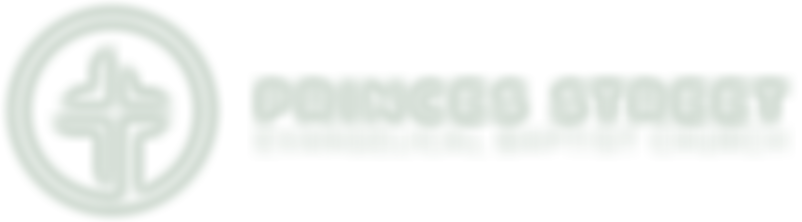 Princes Street Evangelical Baptist Church | Charici