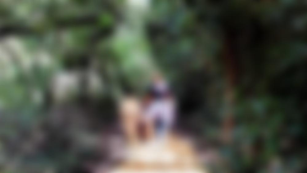 Creos (Crouch End Open Space) | Charici