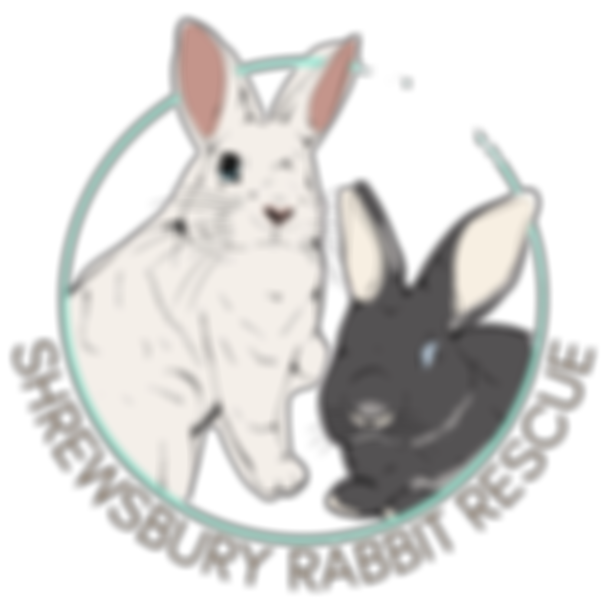 Shrewsbury Rabbit Rescue | Charici