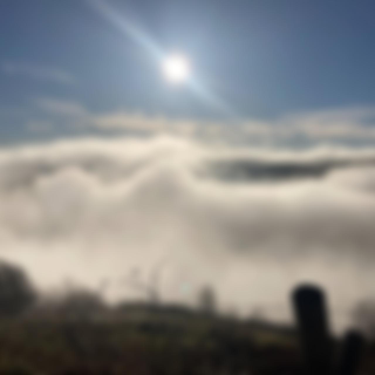 Mytholmroyd Arts | Charici