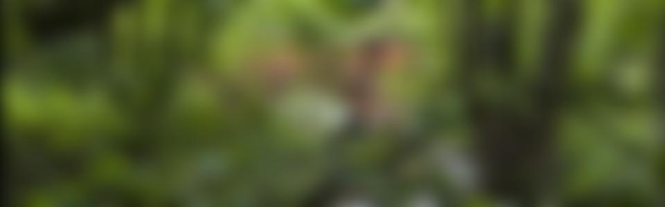 Digswell Lake Society | Charici