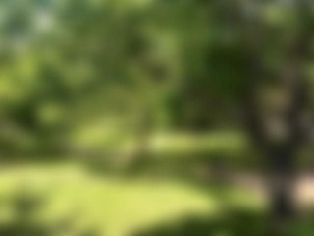 Meanwhile Gardens Community Association | Charici