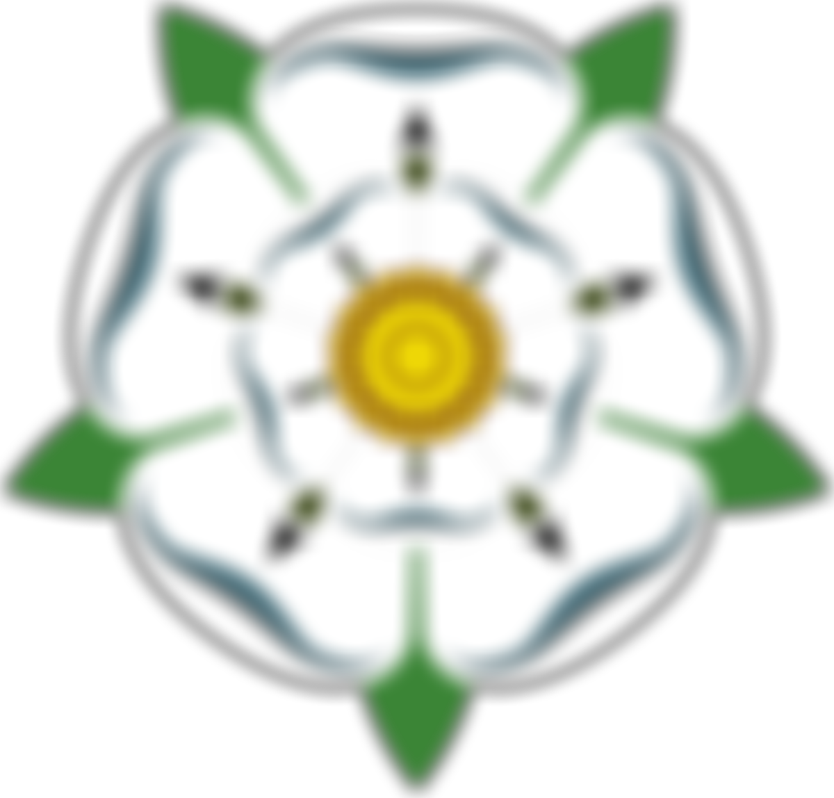 Yorkshire Imperial Band Association | Charici