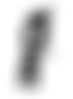 Oriental Bird Club | Charici