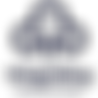 The Guide Association Somerset | Charici