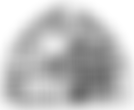 Old Catton Society | Charici