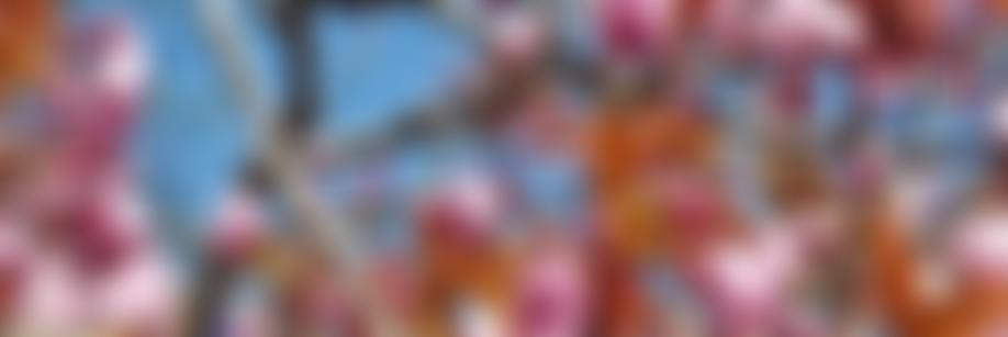 Ashtead Women's Institute | Charici