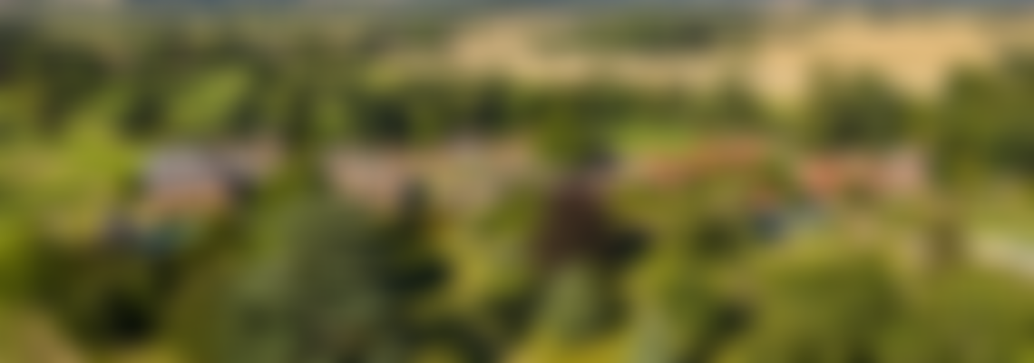 The Phoenix Trust | Charici