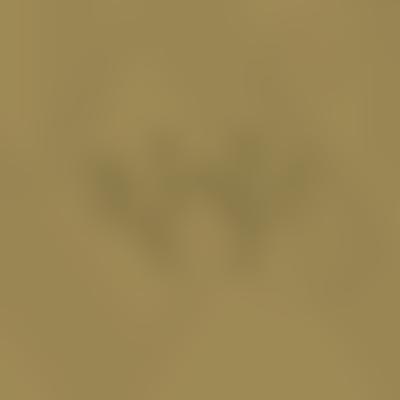 The Woodford County High School Fund | Charici