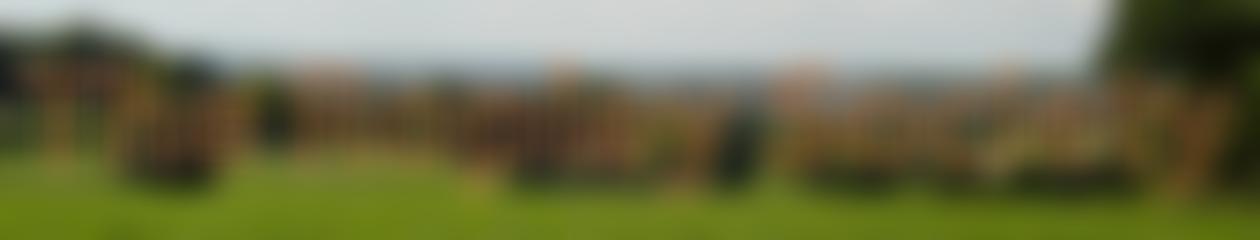 The Ropley Society | Charici