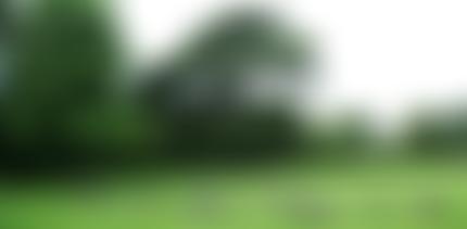 Friends Of Luton Museums | Charici