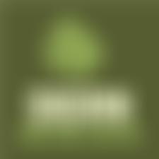 Dean Heritage Museum Trust | Charici