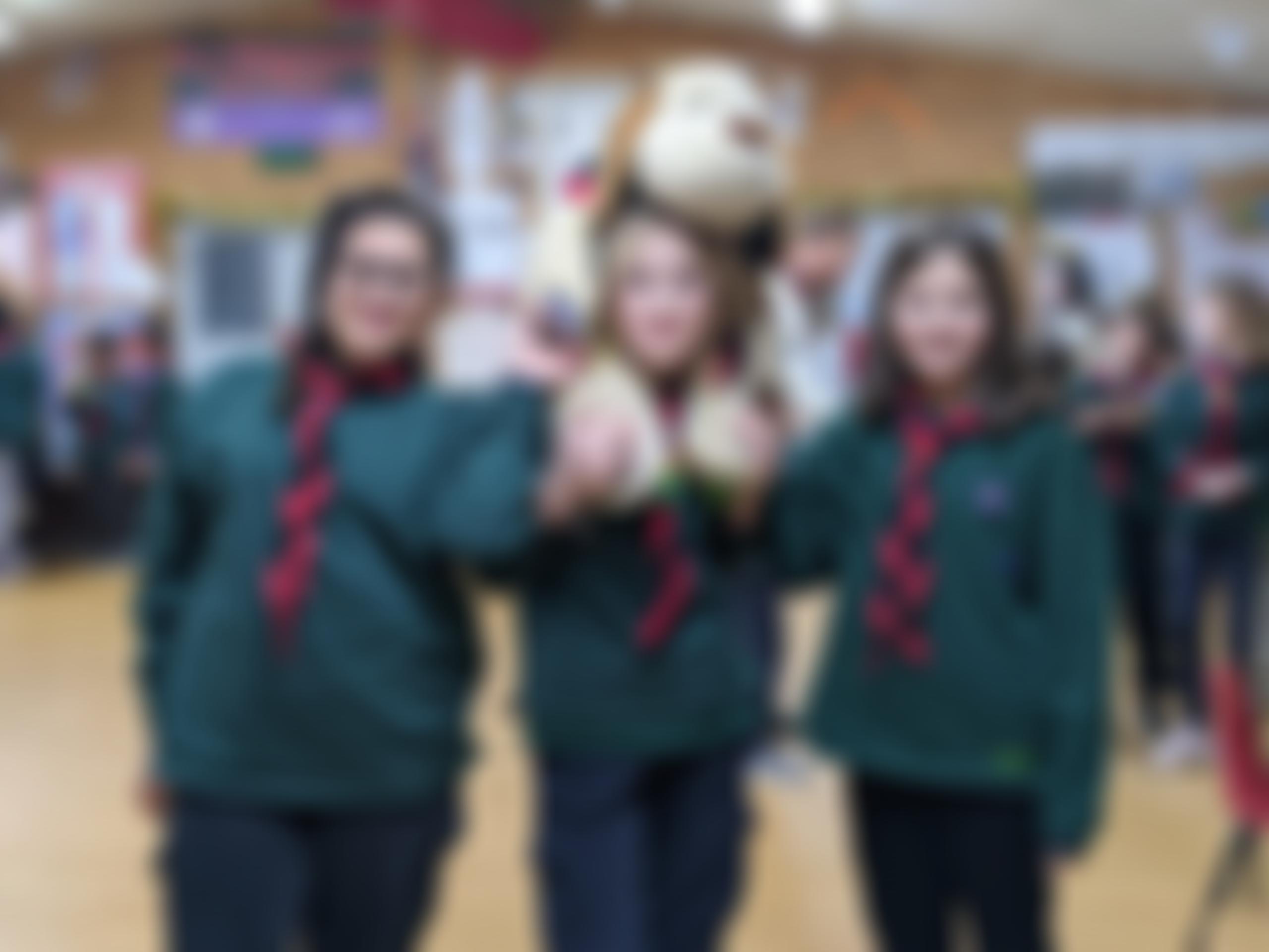 2Nd Edgware Scout Group | Charici