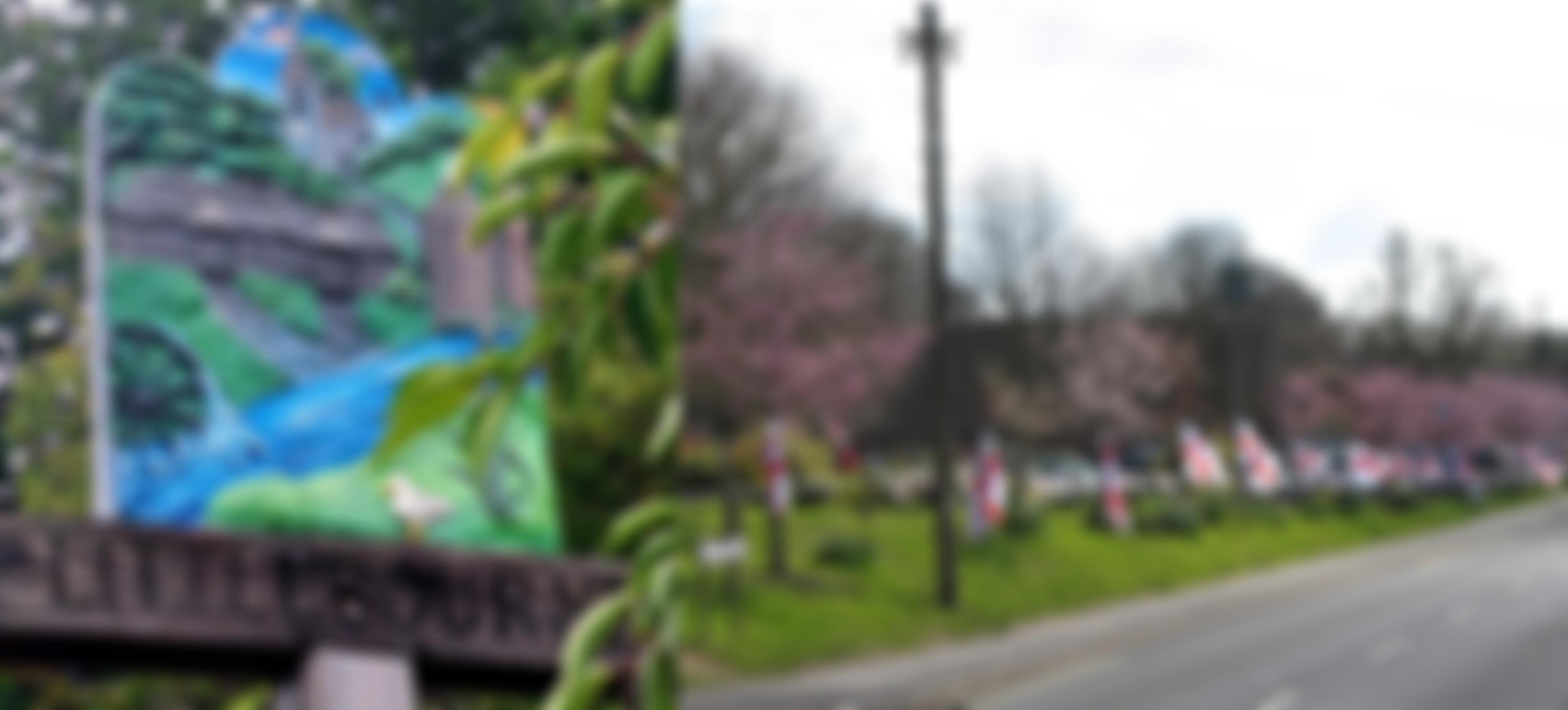 Littlebourne Recreation Ground | Charici