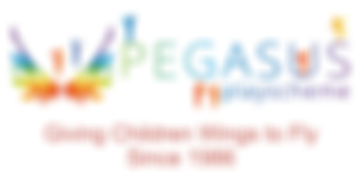 Pegasus Playscheme | Charici