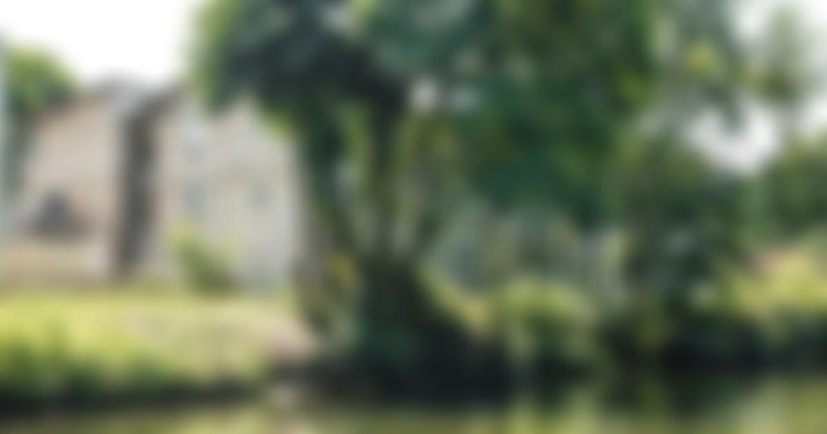 Bridge Care Limited | Charici