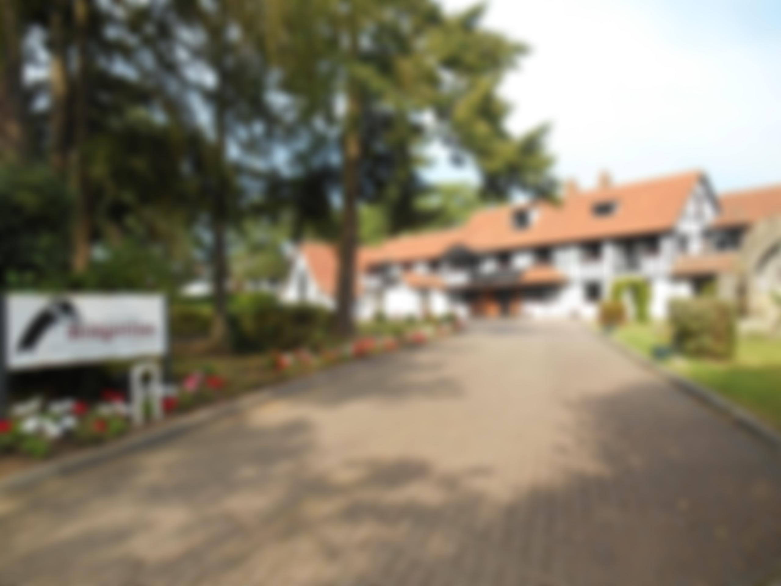 The Order Of The Most Holy Saviour Of St Bridget | Charici