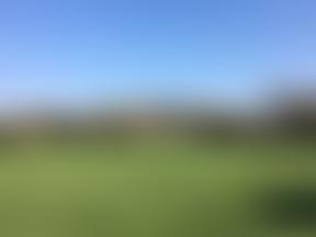 Witchell Meadow | Charici