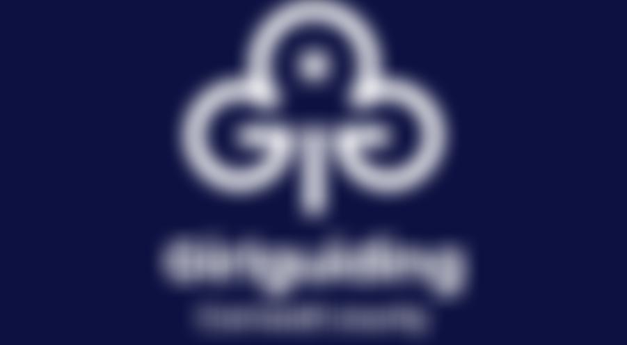 Cornwall Guide Association | Charici