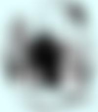 Village Hall (Harston) | Charici