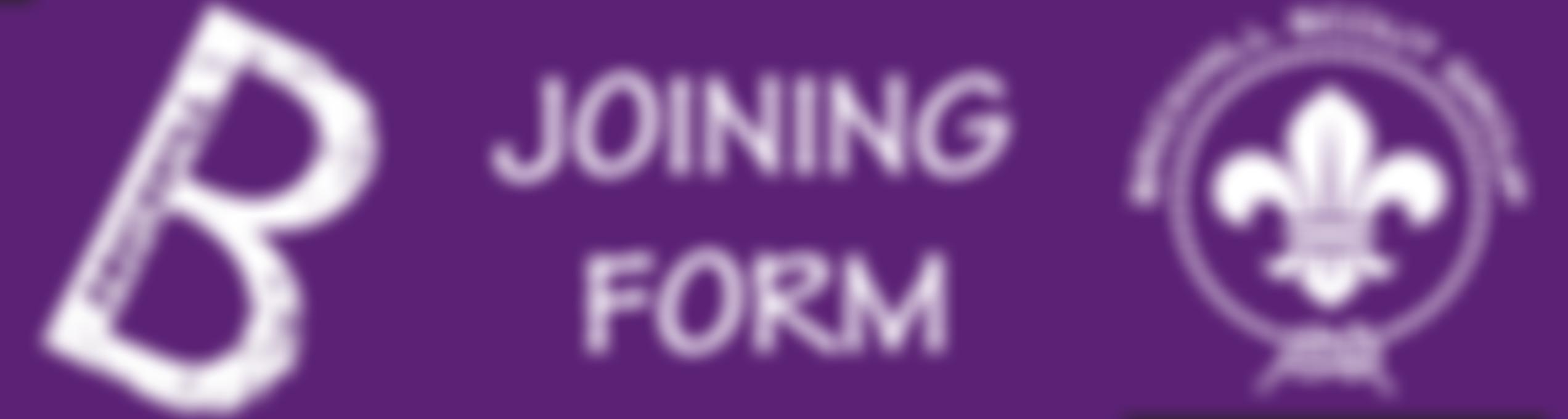 Brickhill Bedford (North) Scout Group | Charici