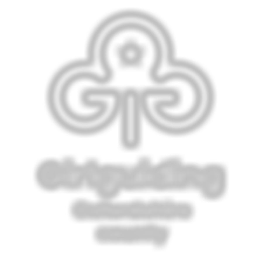 Abingdon Division Guides | Charici