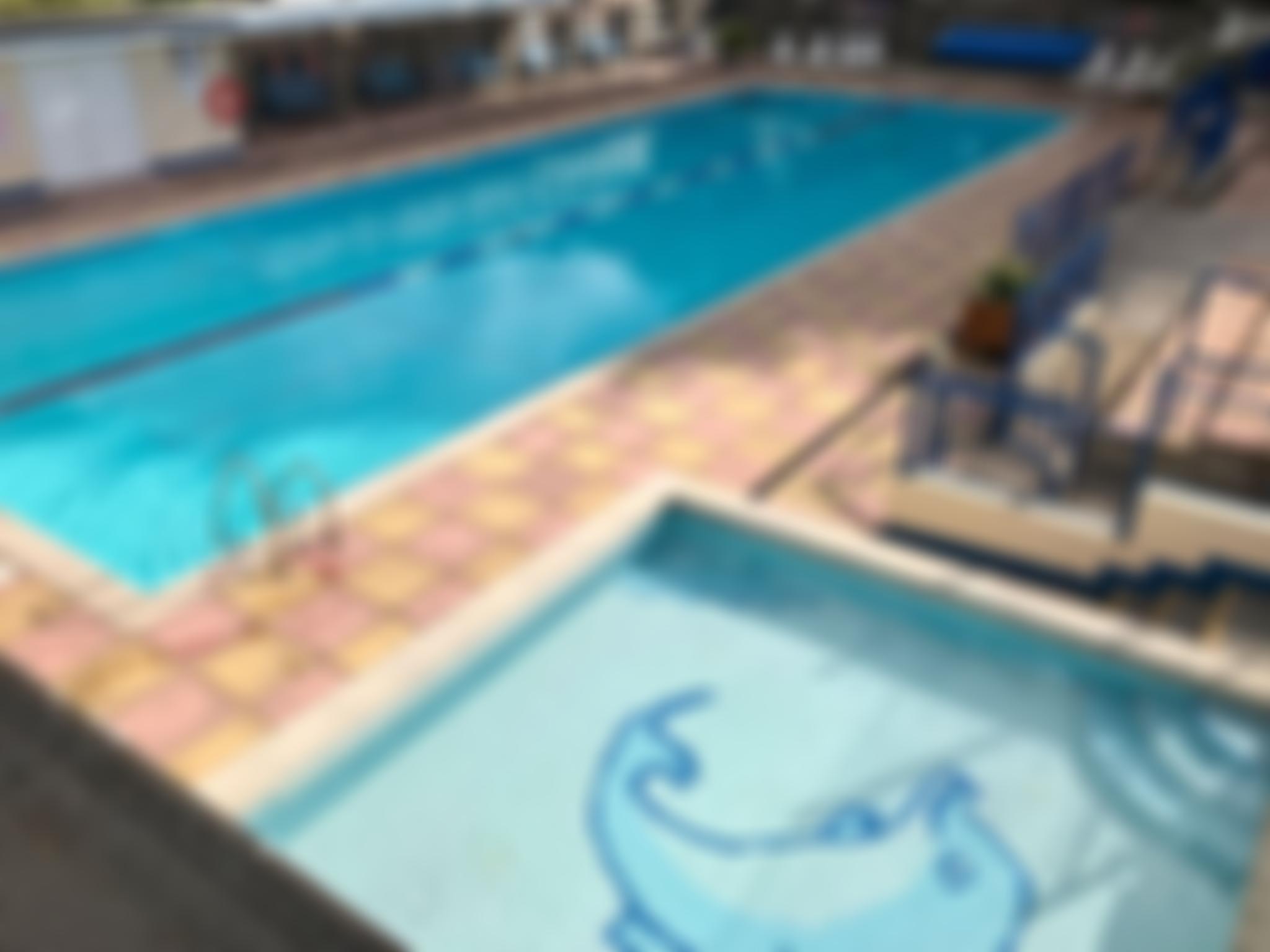 Bovey Tracey Swimming Pool Association | Charici