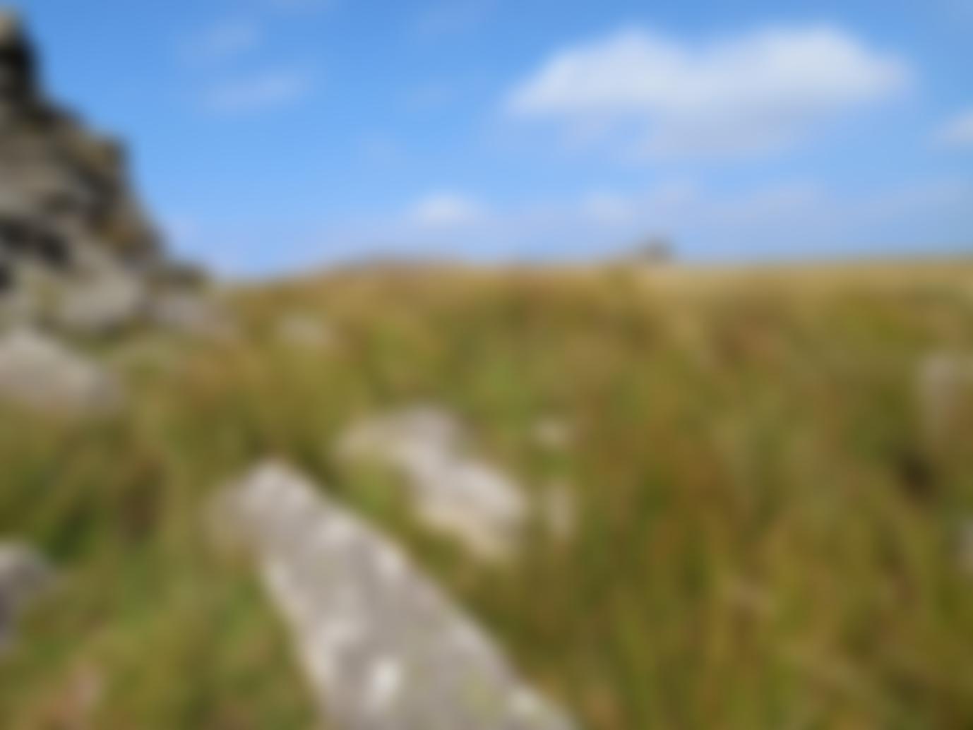 Ilsington Village Hall | Charici