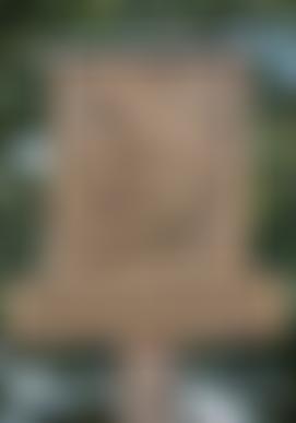 Otterton Recreation Ground | Charici