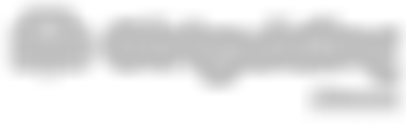 Devon County Guides Association | Charici