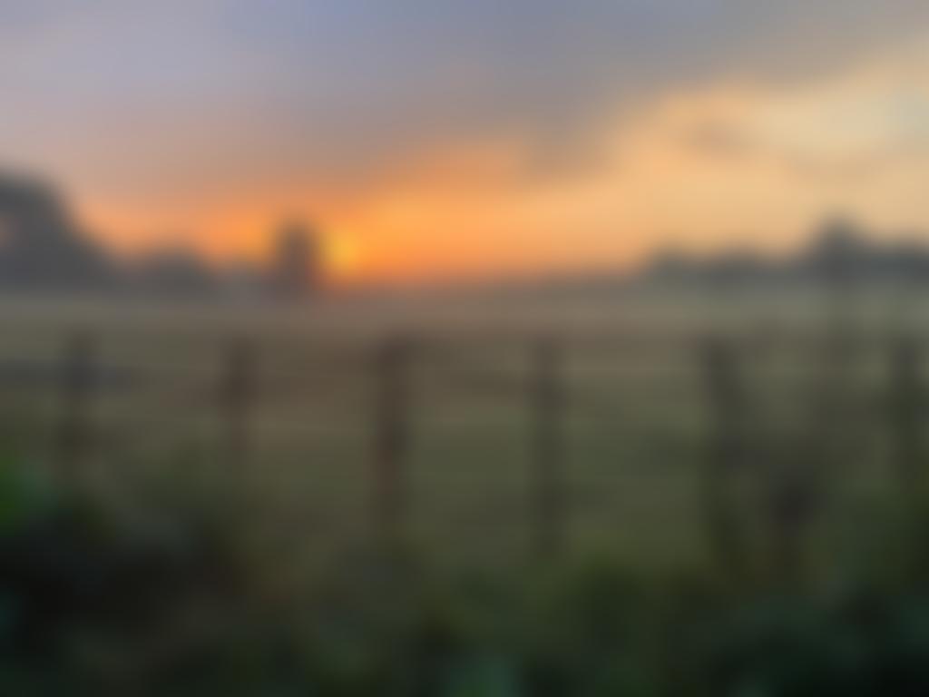 Finchingfield Village Hall | Charici