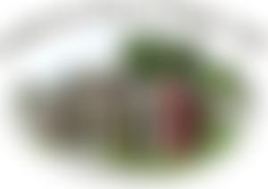 Cliffords Mesne Village Hall | Charici